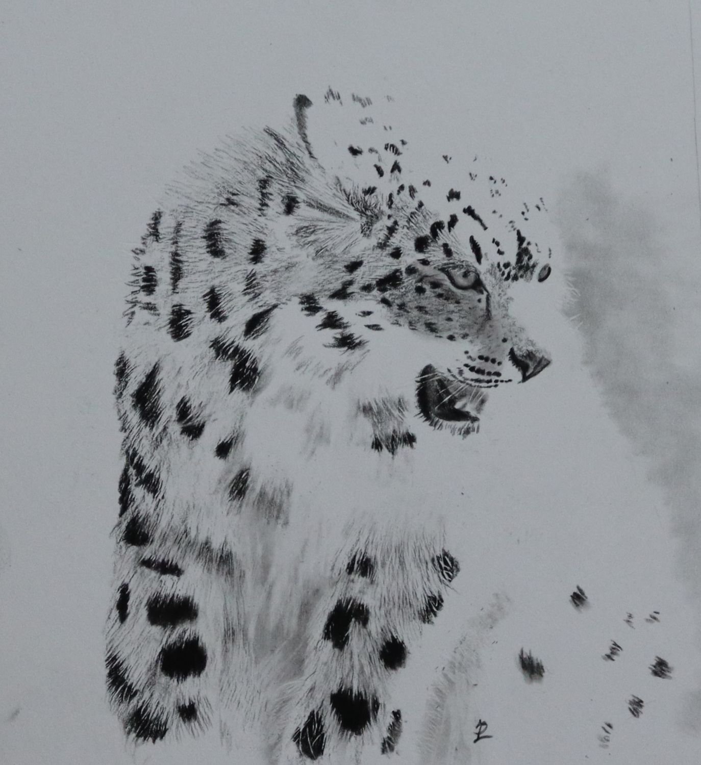 Snow Leopard Cub 4